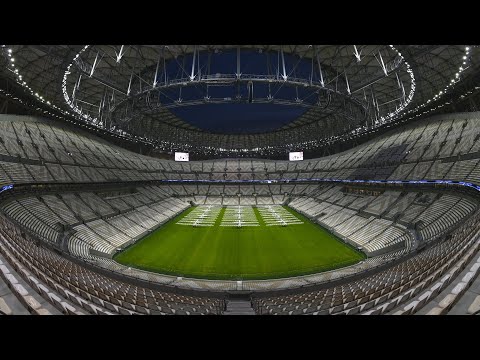 姓氏旗手齐,聚郑州马拉,松盛大亮相,2026世界杯,世界杯赛程,举办城市,比赛消息,球队动态